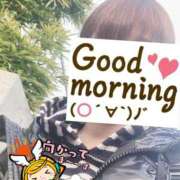 ヒメ日記 2025/03/20 06:21 投稿 もも トマトなび