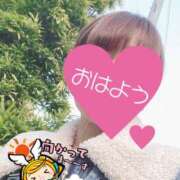 ヒメ日記 2025/03/21 06:21 投稿 もも トマトなび