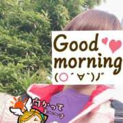 ヒメ日記 2025/03/24 06:20 投稿 もも トマトなび