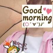 ヒメ日記 2025/03/28 06:21 投稿 もも トマトなび