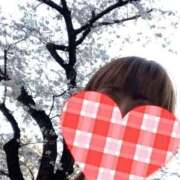 ヒメ日記 2025/03/28 15:22 投稿 もも トマトなび