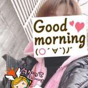 ヒメ日記 2025/03/31 06:19 投稿 もも トマトなび