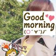 ヒメ日記 2025/04/06 06:21 投稿 もも トマトなび