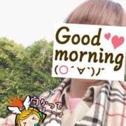 ヒメ日記 2025/04/08 06:19 投稿 もも トマトなび