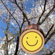 ヒメ日記 2025/04/09 21:22 投稿 もも トマトなび