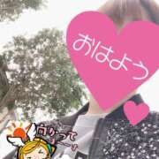 ヒメ日記 2025/04/11 06:20 投稿 もも トマトなび