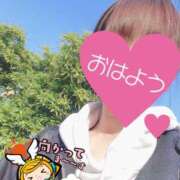 ヒメ日記 2025/04/15 06:21 投稿 もも トマトなび