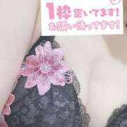 ヒメ日記 2025/04/15 09:05 投稿 もも トマトなび