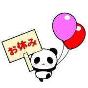 ヒメ日記 2025/04/16 17:43 投稿 もも トマトなび