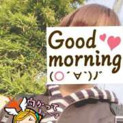 ヒメ日記 2025/04/17 06:21 投稿 もも トマトなび