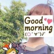 ヒメ日記 2025/04/19 06:21 投稿 もも トマトなび