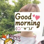 ヒメ日記 2025/04/25 06:20 投稿 もも トマトなび