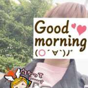 ヒメ日記 2025/04/28 06:20 投稿 もも トマトなび