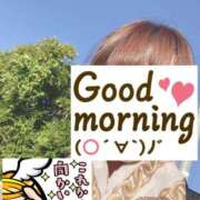 ヒメ日記 2025/05/03 06:19 投稿 もも トマトなび