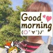 ヒメ日記 2025/05/04 06:19 投稿 もも トマトなび