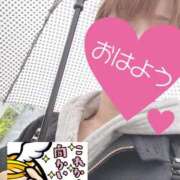 ヒメ日記 2025/05/06 06:20 投稿 もも トマトなび