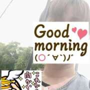 ヒメ日記 2025/05/10 06:23 投稿 もも トマトなび