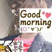 ヒメ日記 2025/05/12 06:26 投稿 もも トマトなび