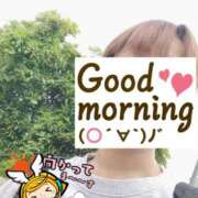 ヒメ日記 2025/05/13 06:24 投稿 もも トマトなび