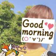 ヒメ日記 2025/05/15 06:19 投稿 もも トマトなび