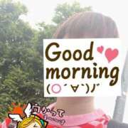 ヒメ日記 2025/05/19 06:21 投稿 もも トマトなび