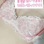 ヒメ日記 2025/05/19 10:54 投稿 もも トマトなび