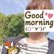 ヒメ日記 2025/05/20 06:25 投稿 もも トマトなび