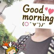 ヒメ日記 2025/05/22 06:25 投稿 もも トマトなび