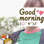 ヒメ日記 2025/05/27 06:23 投稿 もも トマトなび