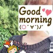 ヒメ日記 2025/05/29 06:26 投稿 もも トマトなび