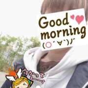 ヒメ日記 2025/05/31 06:19 投稿 もも トマトなび