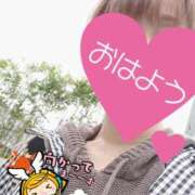 ヒメ日記 2025/06/01 06:25 投稿 もも トマトなび