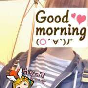 ヒメ日記 2025/06/03 06:27 投稿 もも トマトなび