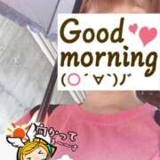 ヒメ日記 2025/06/06 06:18 投稿 もも トマトなび