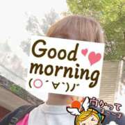 ヒメ日記 2025/06/12 06:21 投稿 もも トマトなび