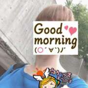 ヒメ日記 2025/06/16 06:23 投稿 もも トマトなび