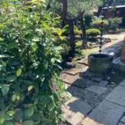 ヒメ日記 2025/06/18 23:37 投稿 もも トマトなび