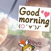 ヒメ日記 2025/06/20 06:22 投稿 もも トマトなび