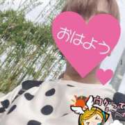 ヒメ日記 2025/06/23 06:19 投稿 もも トマトなび