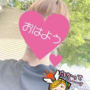 ヒメ日記 2025/06/27 06:18 投稿 もも トマトなび