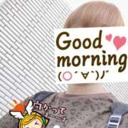 ヒメ日記 2025/06/28 06:22 投稿 もも トマトなび