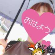 ヒメ日記 2025/07/01 06:22 投稿 もも トマトなび