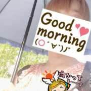 ヒメ日記 2025/07/05 06:22 投稿 もも トマトなび