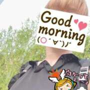 ヒメ日記 2025/07/07 06:26 投稿 もも トマトなび