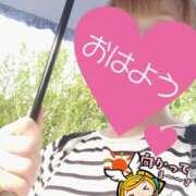 ヒメ日記 2025/07/08 06:26 投稿 もも トマトなび