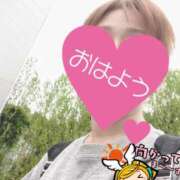 ヒメ日記 2025/07/11 06:24 投稿 もも トマトなび