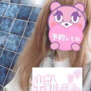 ヒメ日記 2025/07/11 07:48 投稿 もも トマトなび