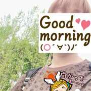 ヒメ日記 2025/07/12 06:25 投稿 もも トマトなび