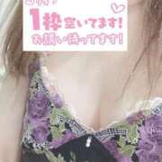 ヒメ日記 2025/07/14 11:24 投稿 もも トマトなび