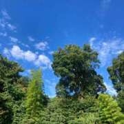 ヒメ日記 2025/07/14 23:10 投稿 もも トマトなび